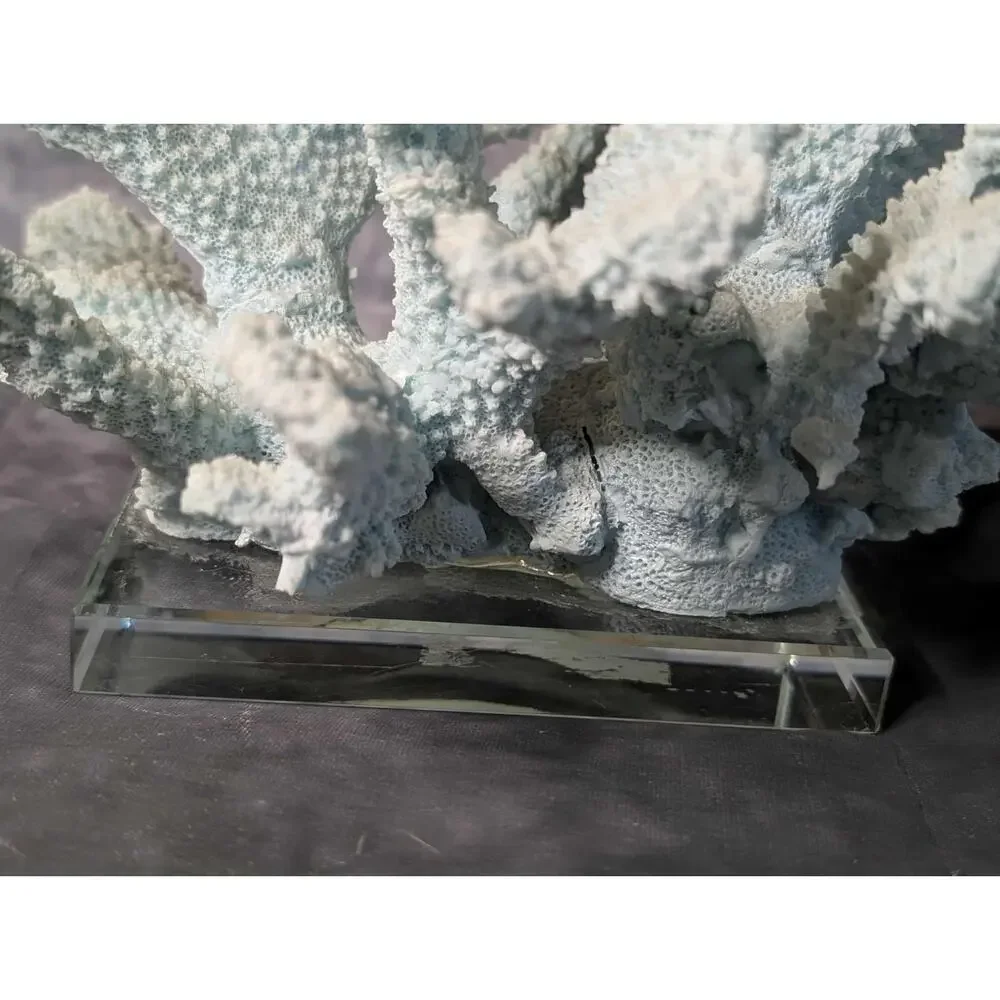 Nautical Coral Resin Art Statue Figurine Glass Bass Teal Large Staghorn Decor